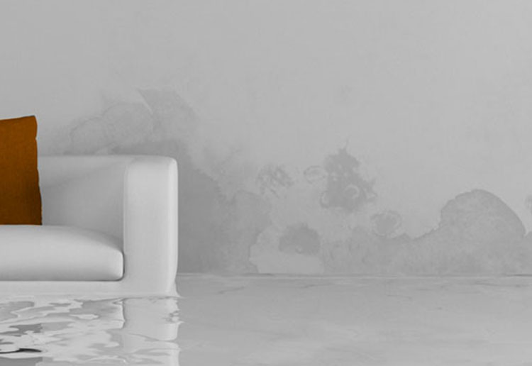 Weshalb trocknen nach Wasserschaden?